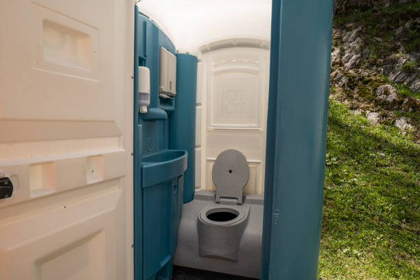 Best Portable Toilet Rental for Emergency Services  in Lakeview, MI