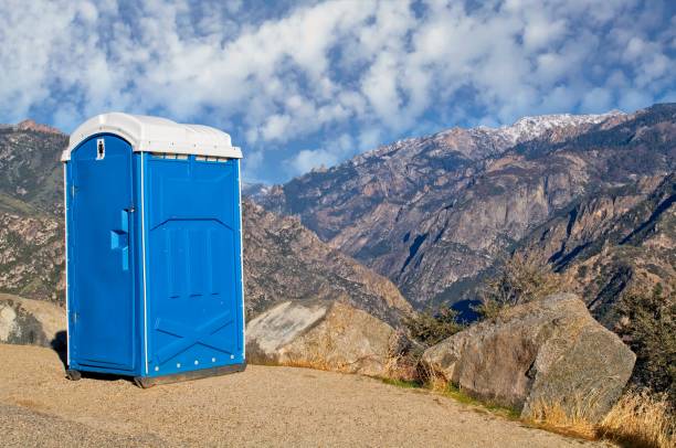 Best Deluxe Portable Toilet Rental  in Lakeview, MI